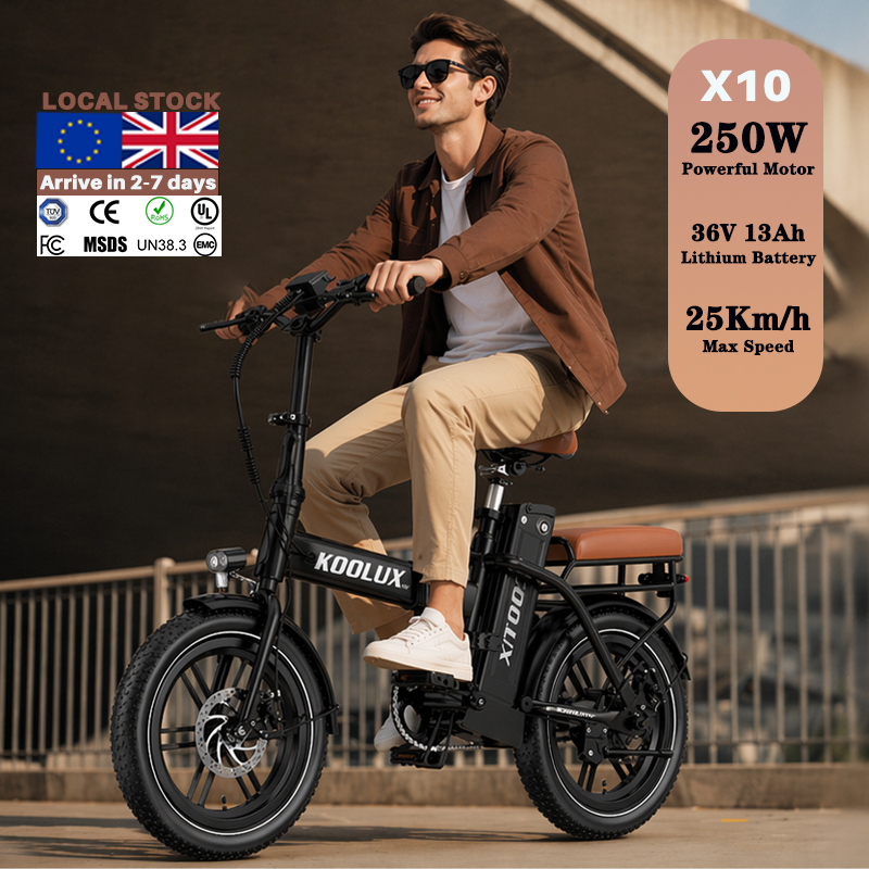 Mountain Biking Europe - Europa Polen X10 Elektrisches Faltrad Lithium-Batterie